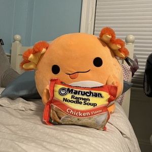 Fundraising Page: Timmy, Mai Mai, and Aisling Gavin